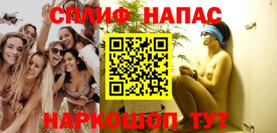 индика Будённовск